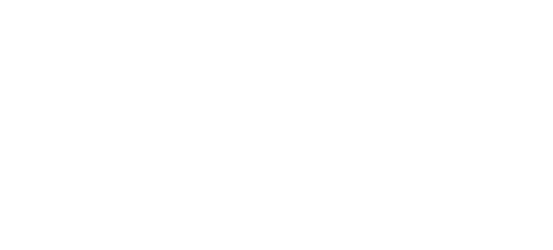 The Bike Store